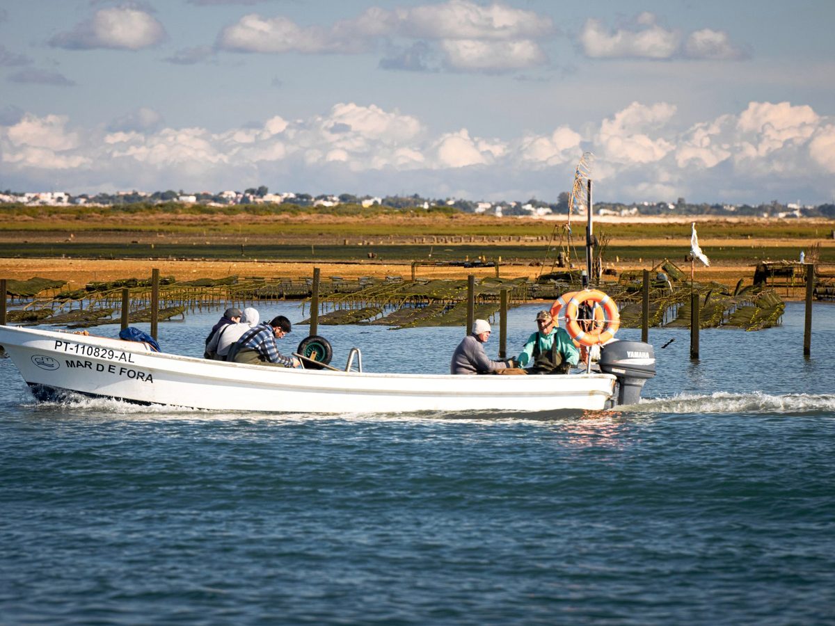 A fishing boat on the flat water of the Ria Formosa at Olhão