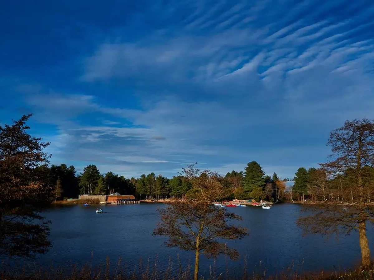 The lake at Sherwood Forest
