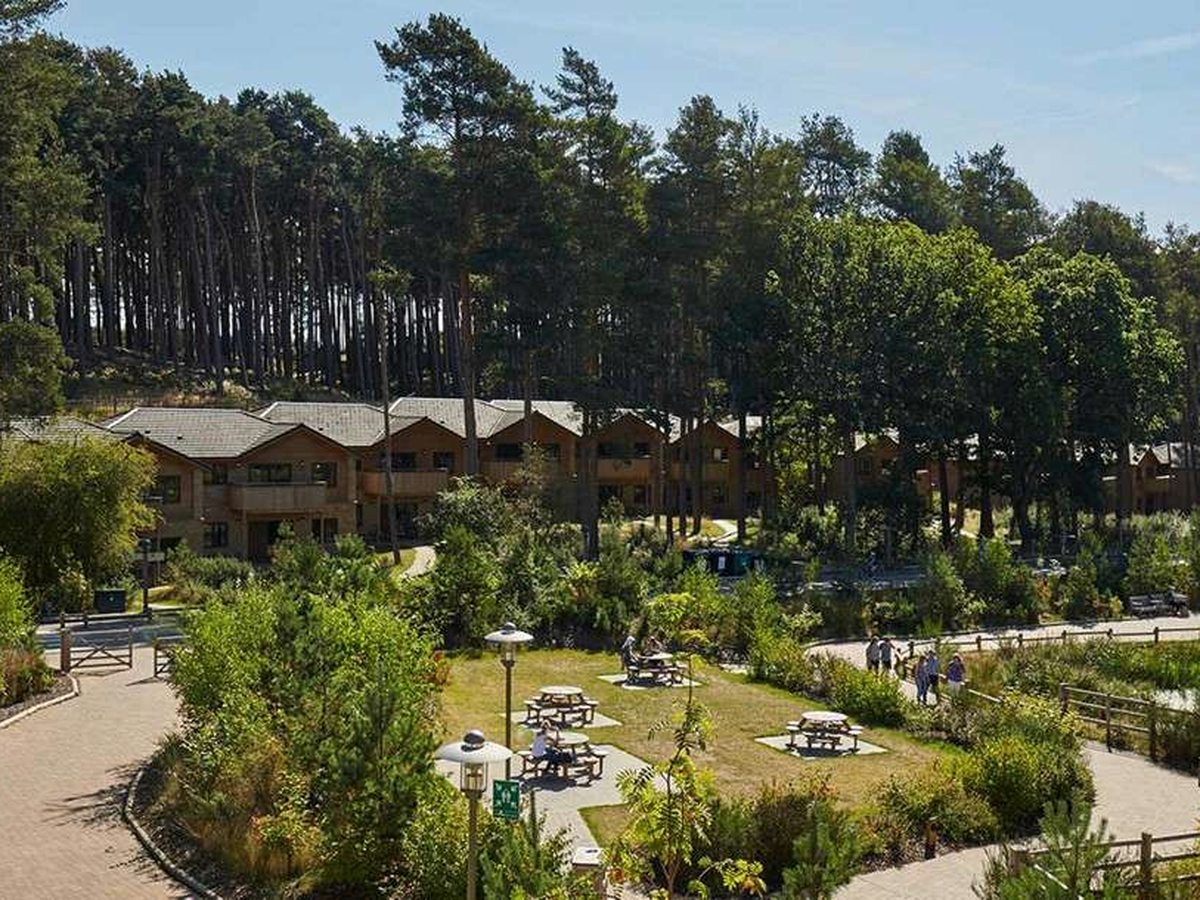 Lodges and paths at Woburn Forest, the most compact of the villages