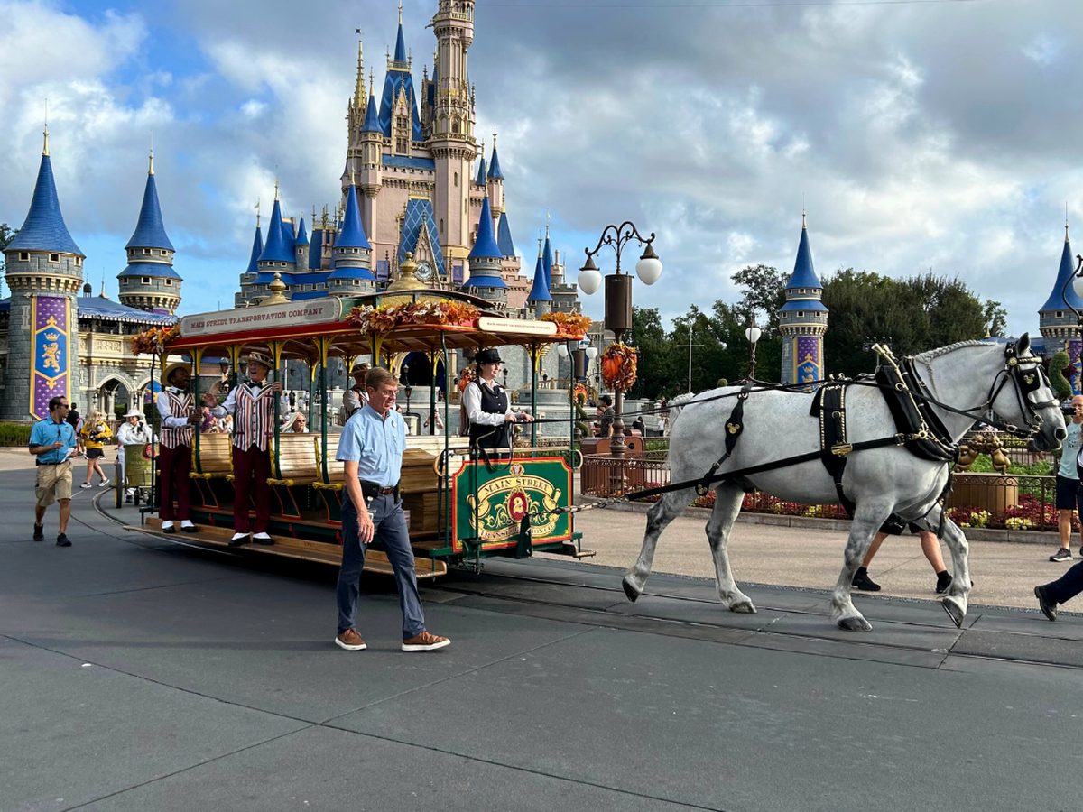 A horse-drawn streetcar with driver and passengers on Main Street, U.S.A. at Magic Kingdom, pulled by a grey draught horse with Cinderella Castle behind, autumn garlands along its roof