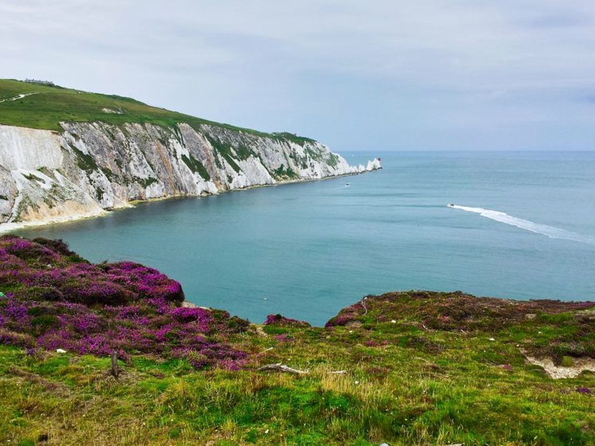 The downs above Alum Bay, looking out to the Needles