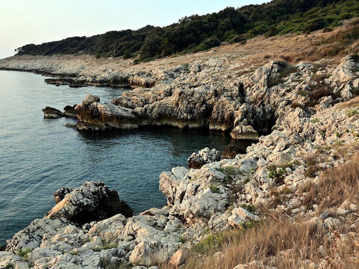 Flat rock and clear water: the typical Istrian shoreline