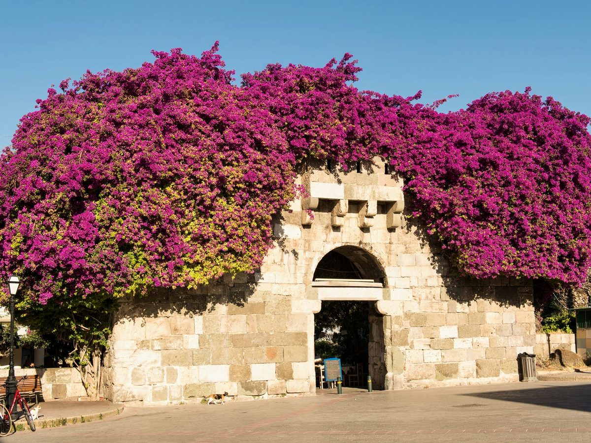 An old stone arch in Kos Town