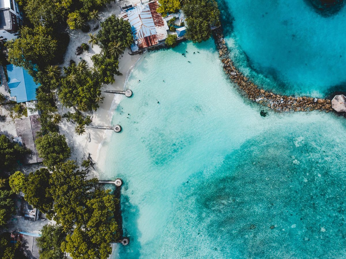 The shallow lagoon shore