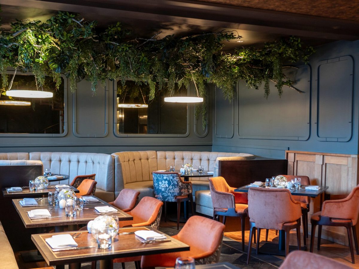 A modern brasserie with tan velvet chairs, a tufted banquette and hanging foliage over the tables.