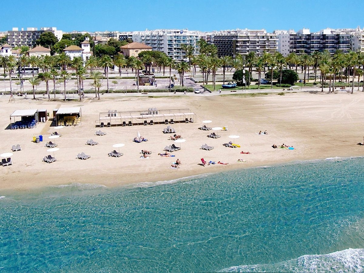 An aerial of a sandy beach with rows of sunloungers and parasols, calm sea alongside