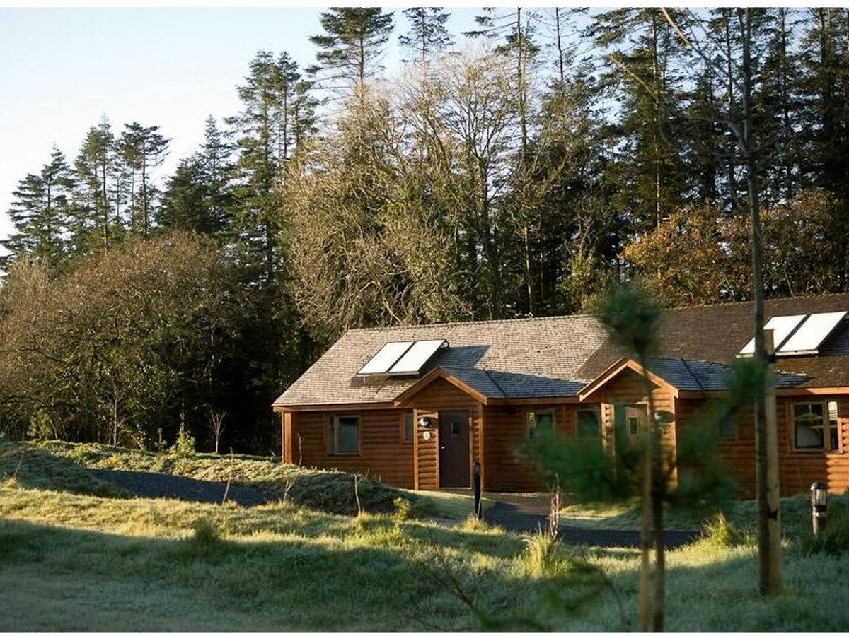 Timber holiday lodges with pitched roofs dotted across a grassy woodland slope under a bright blue sky.