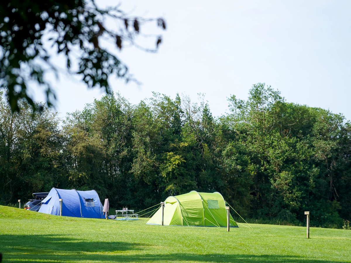 Blue and green dome tents pitched across a mown grass camping field edged by woodland.