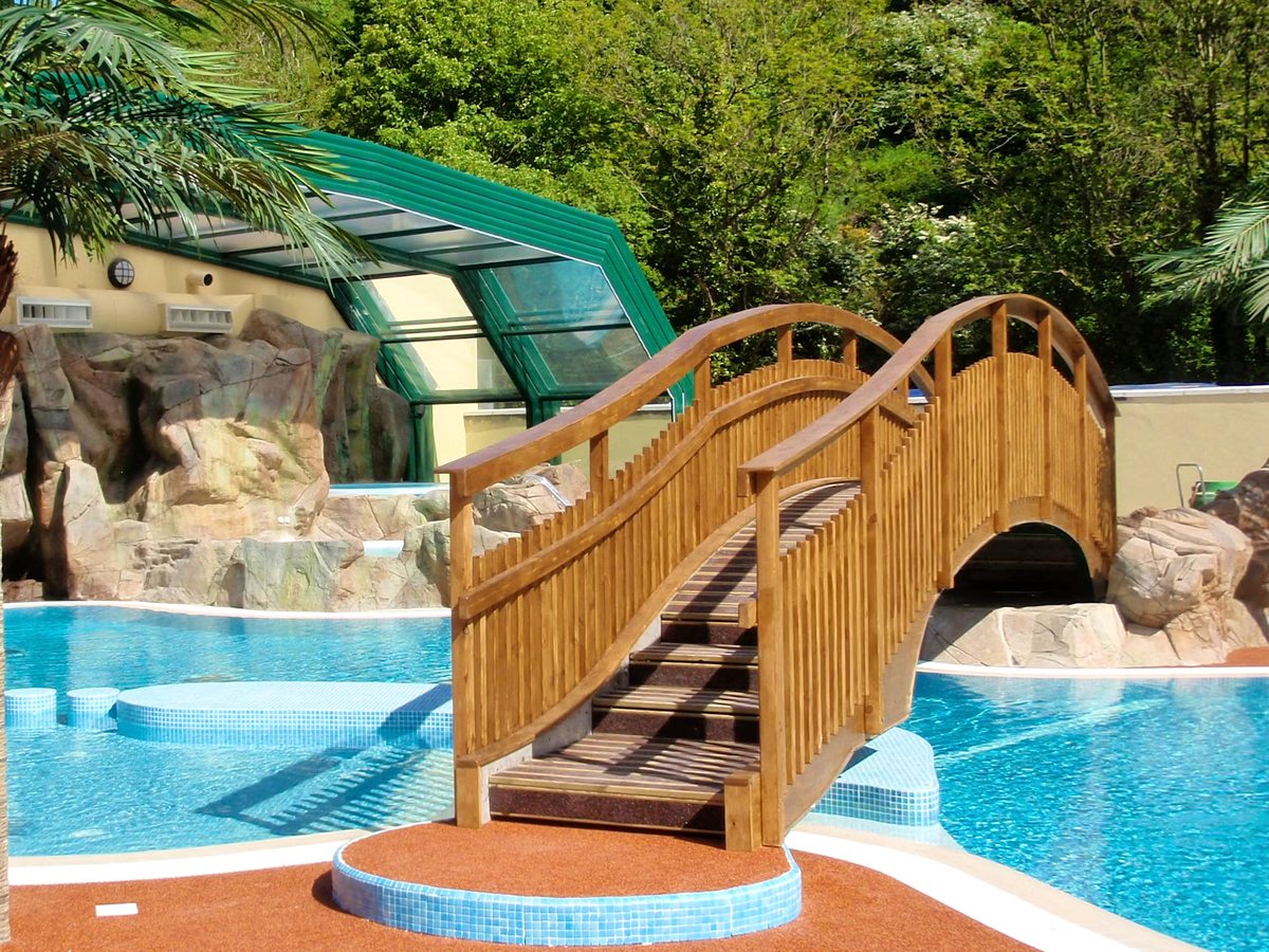 A curved blue-water pool crossed by an arched wooden footbridge, with a palm tree and a rockery under a glazed green-framed roof.
