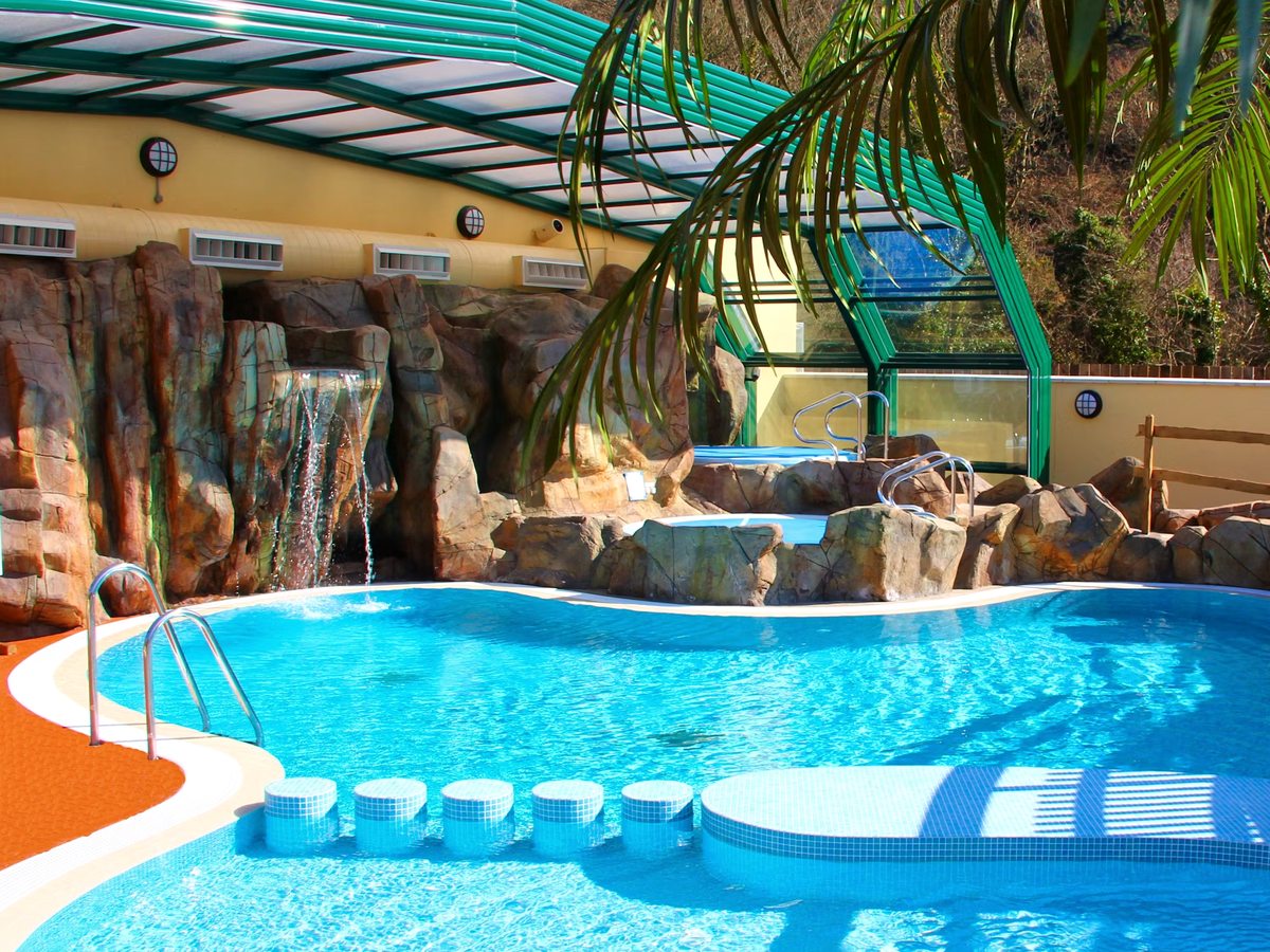 A rock-feature waterfall tumbling into the pool beside a curved shallow shelf, with palm foliage under a translucent arched roof.