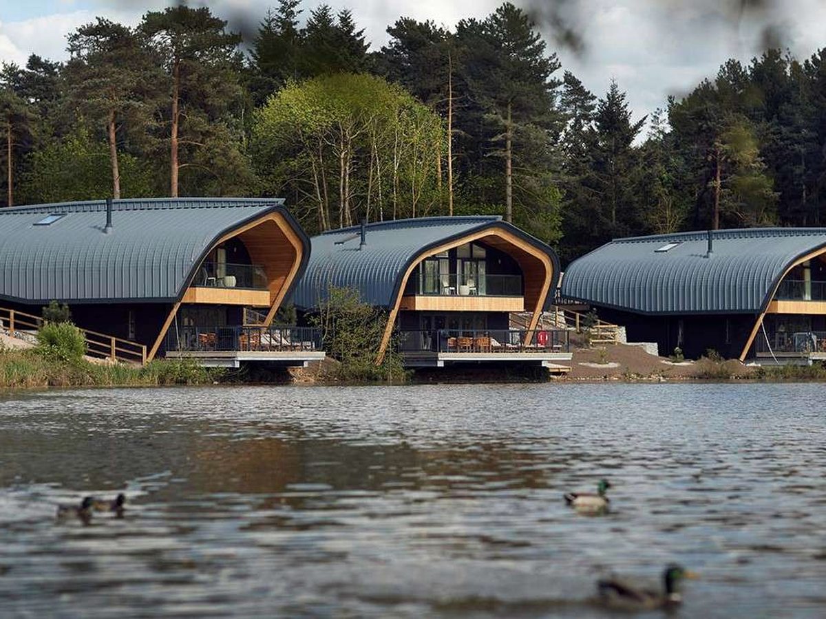 A row of lodges with curved zinc roofs and timber balconies at the water's edge, with pines behind and ducks on the lake.