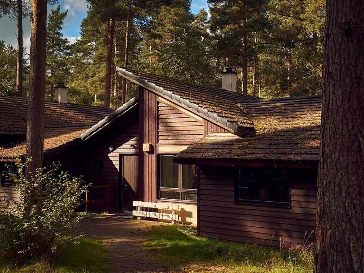 Timber lodges with steep moss-covered roofs and a bench at the door, set among tall Scots pines in low afternoon sunlight.