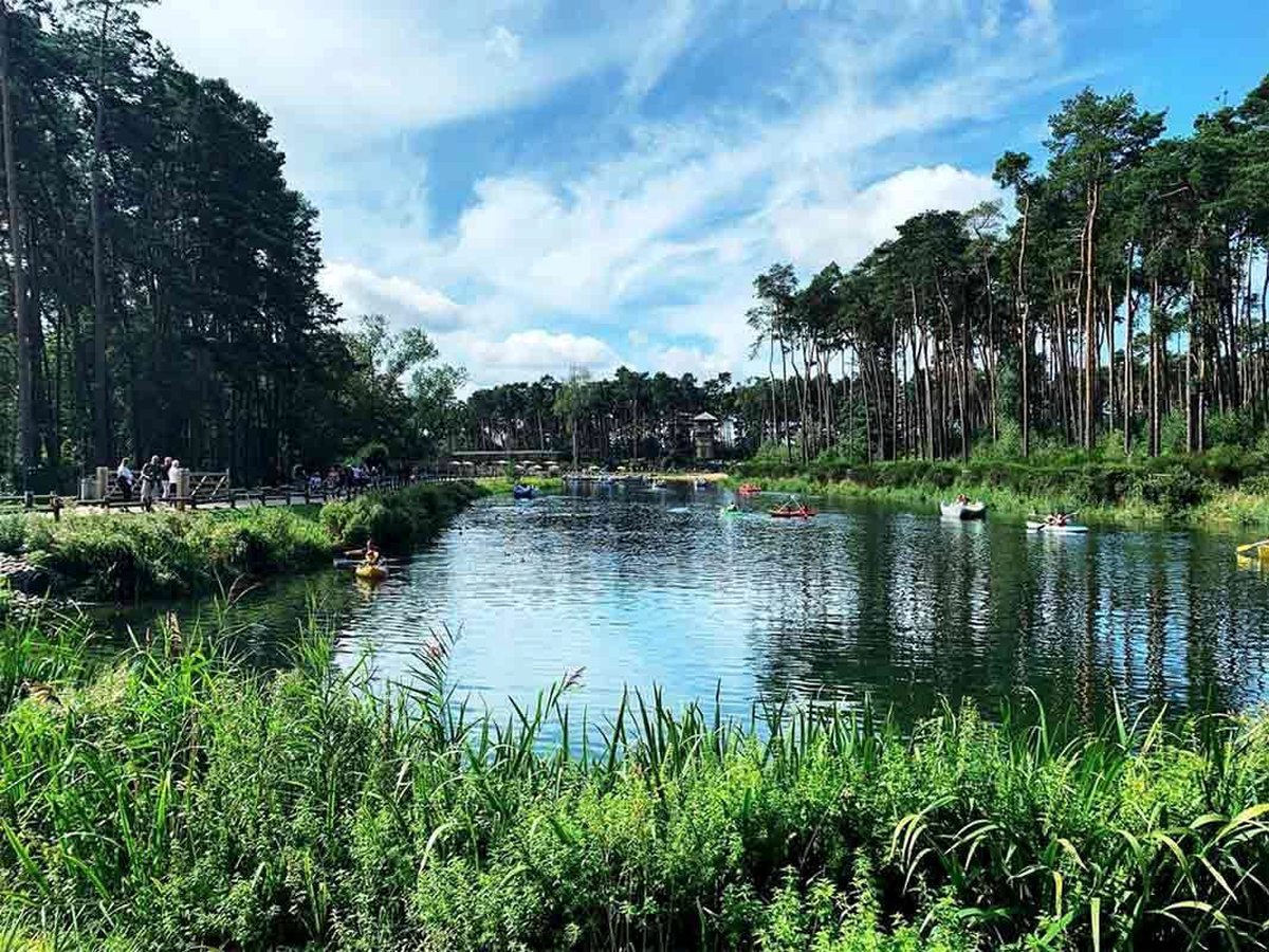 A broad lake edged with reeds and tall pines under a blue sky with white cloud, small boats and kayaks out on the water and people walking a lakeside path.
