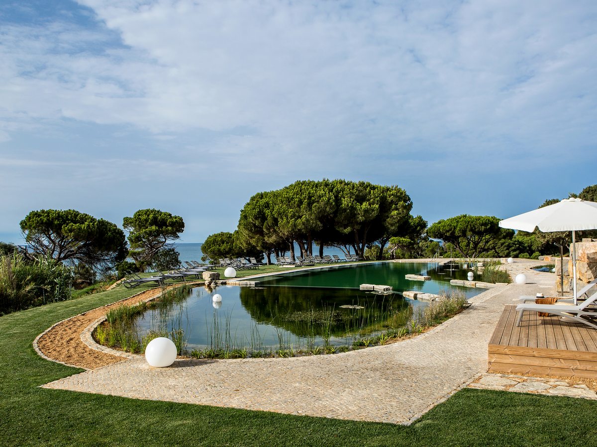 An organically shaped natural pool with greenish water, planted and pebbled edges and umbrella pines, with the sea beyond.