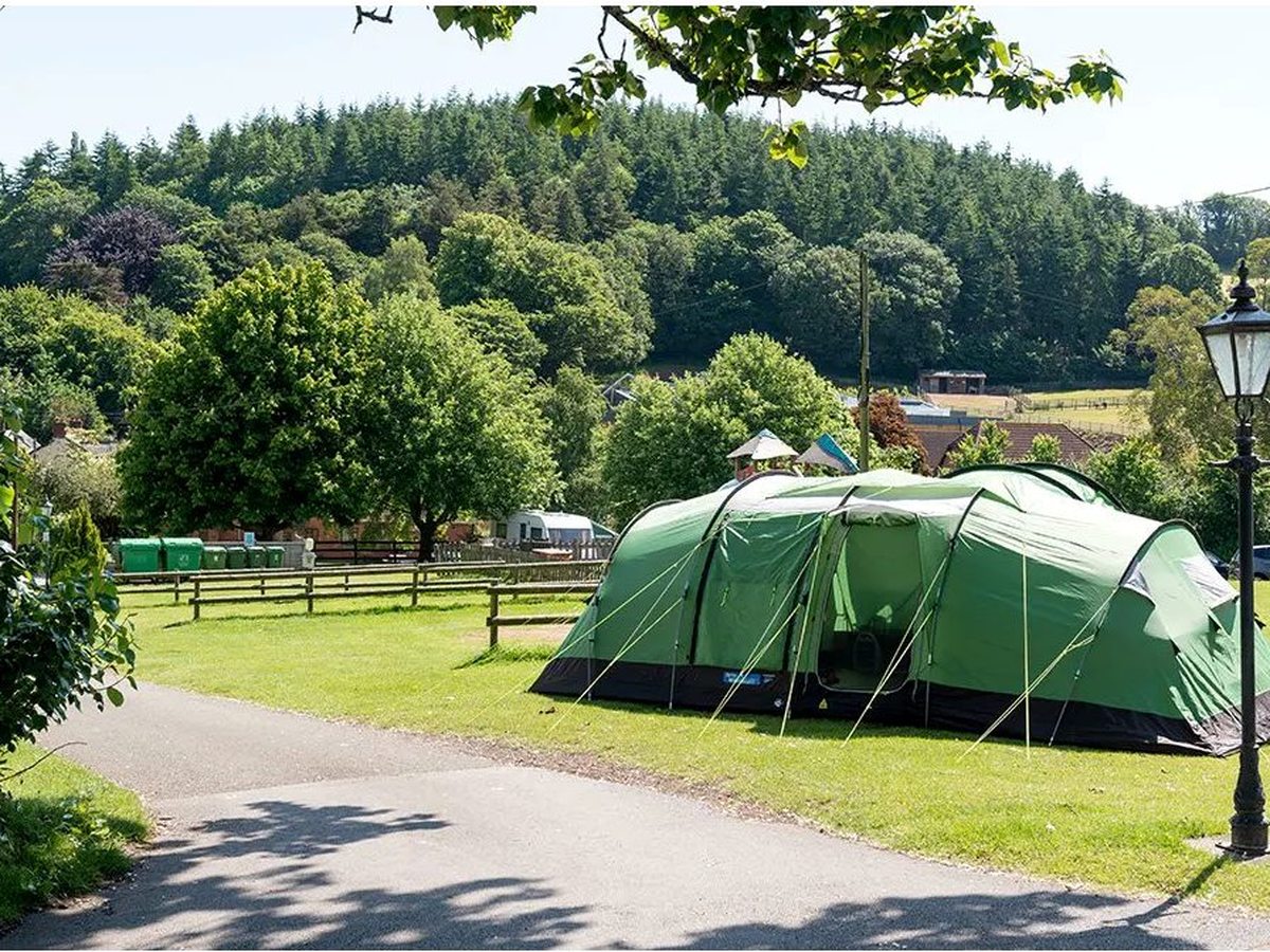 A large green family tent on a grass pitch beside a paved park lane, with a lamp post, timber fencing and a wooded hillside behind.