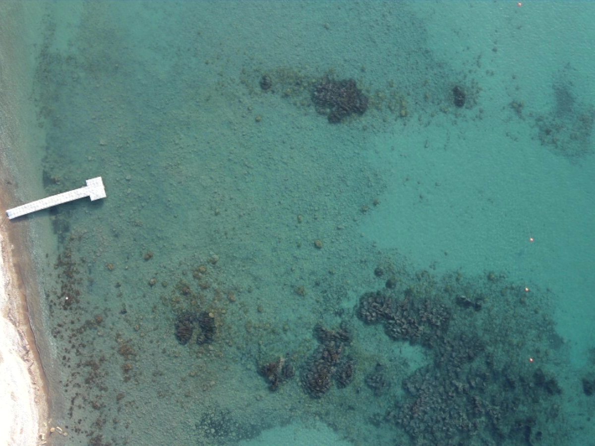 A small white floating platform anchored in clear turquoise water above patches of seagrass.