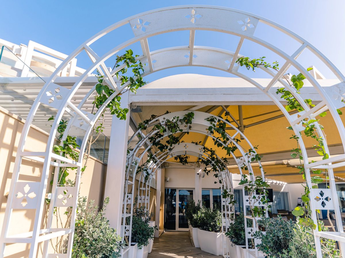 A white metal pergola of arched trellises threaded with climbing greenery over a timber walkway, leading past potted olive plants to the resort entrance under a clear blue sky.