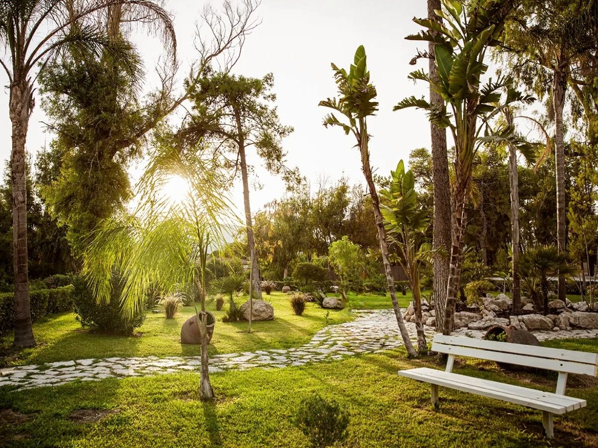 Curving stone path through a landscaped garden of lawns, palms and banana plants, with pine trees behind and a white bench in the sun.