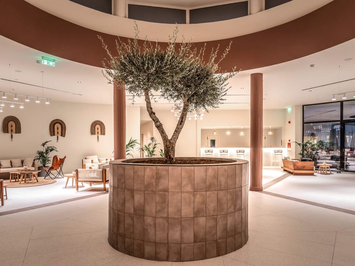 Open-plan lobby with an olive tree in a round woven planter, lounge chairs and sofas, terracotta columns and glass entrance doors.
