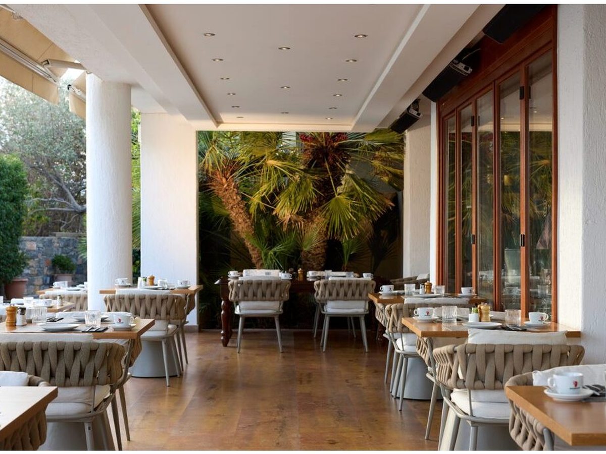 Covered restaurant terrace with laid tables and rope chairs beside tall windows, a bank of palms filling the far wall.