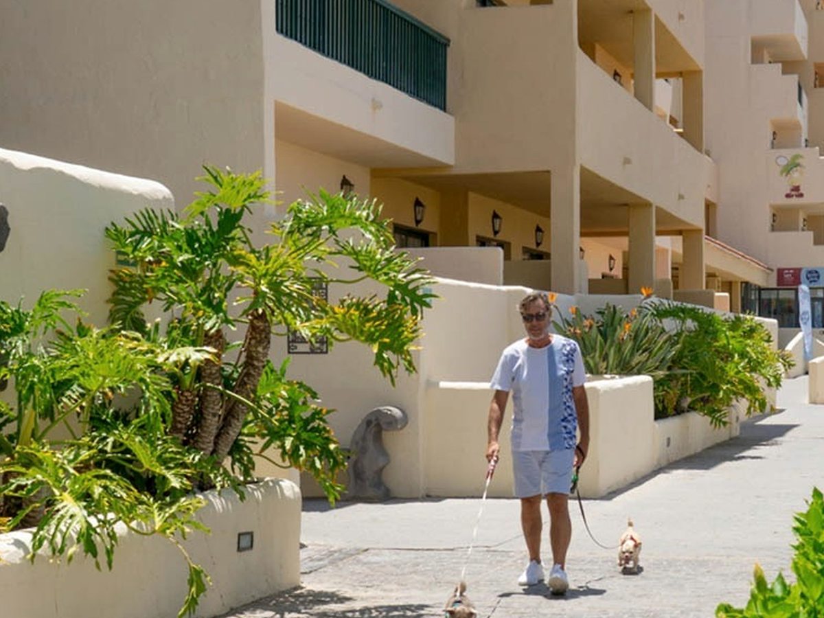 A resident walking two small dogs on leads along a cobbled street between cream low-rise apartment blocks with tropical planting.