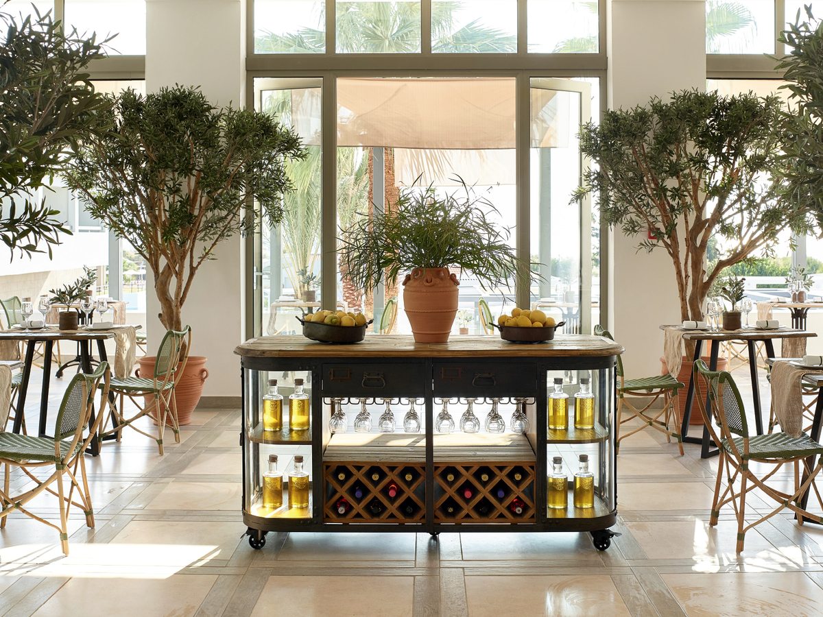 A bright, high-windowed restaurant dining room with potted olive trees, green bistro chairs and a wheeled cart of olive oil and wine.