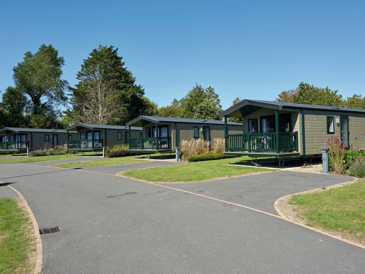 A row of static caravans with private decking and parking bays along a paved park road, with lawns and mature trees.