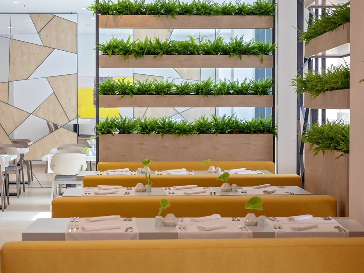 A bright dining room with yellow banquette seating and white-clothed tables laid with napkins and cutlery beside a wood-framed wall of hanging ferns.