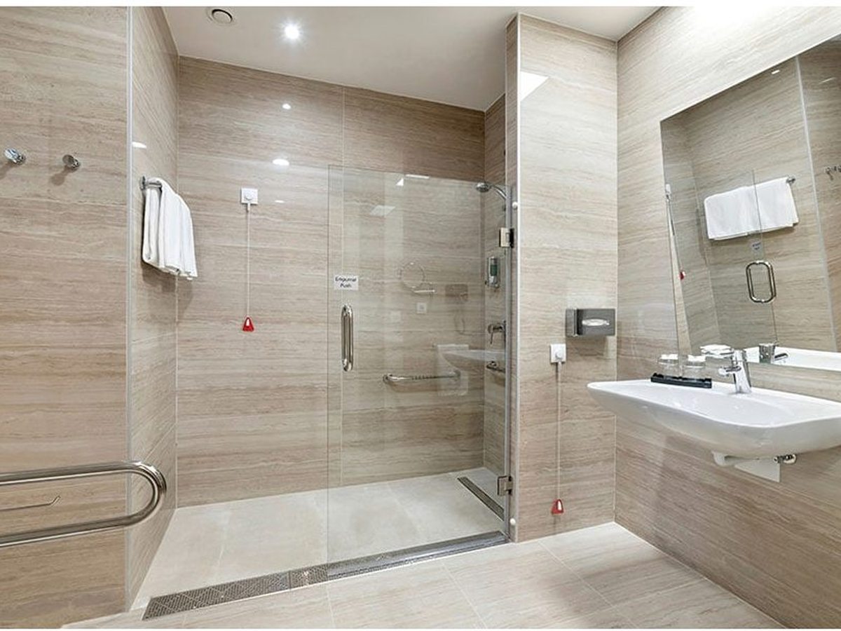 Adapted bathroom with a roll-in shower, grab rails and a wall-mounted sink below a large mirror.