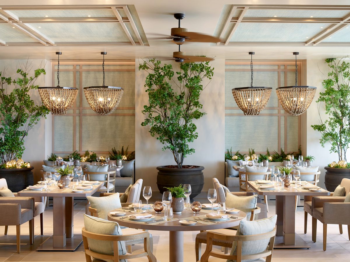 The dining room at Provence, with woven pendant lights, trailing greenery and pale linen-set tables.