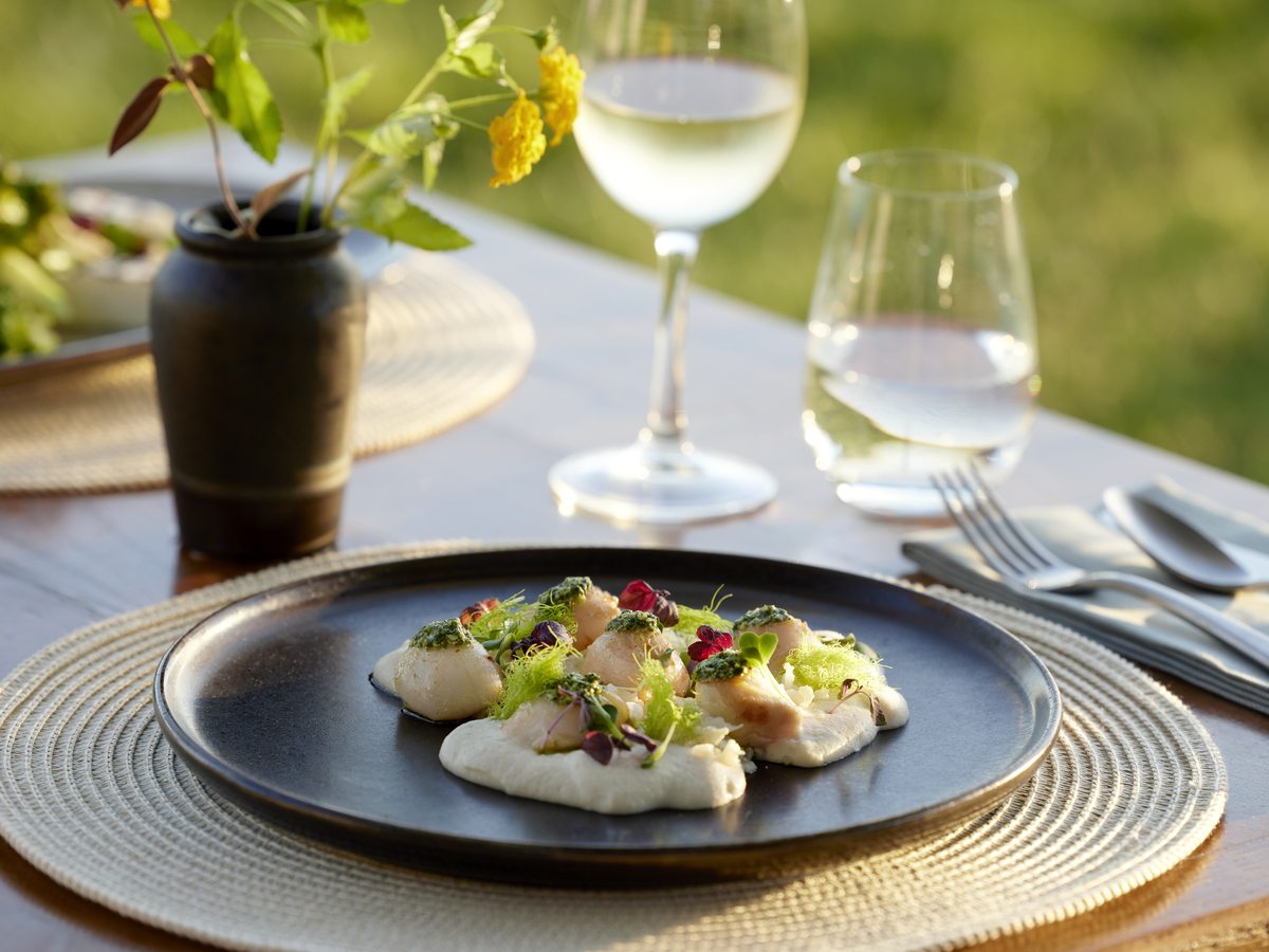 A plated fish dish with a glass of white wine on a dark table.