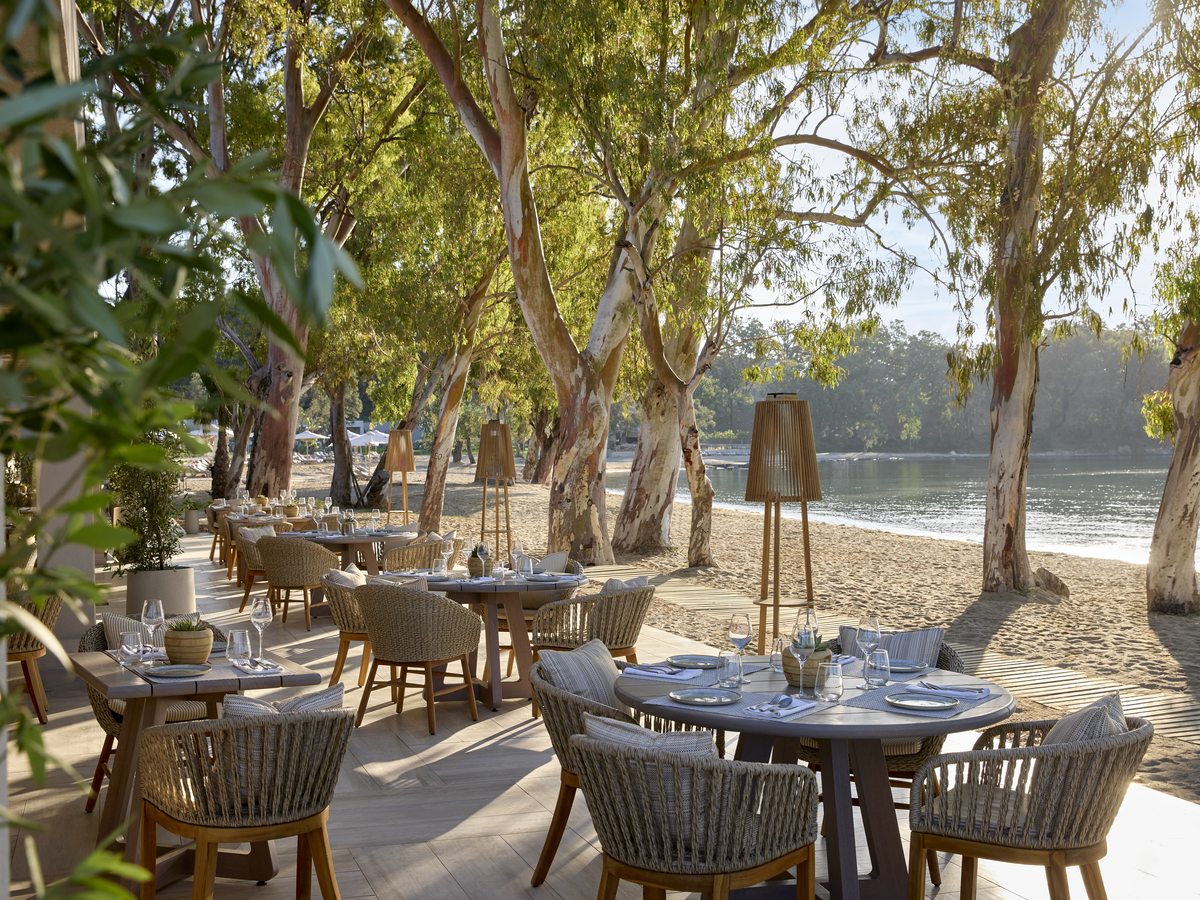 Tables laid with linen and glassware among tall trees on the sand, the water a few steps away.