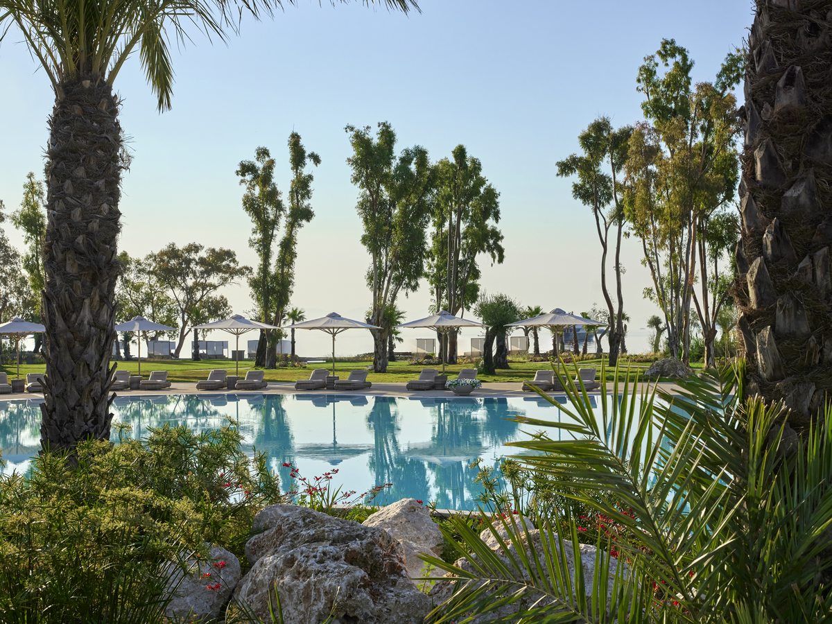 A long pool edged with lawn, tall cypresses and planting, sunbeds set out along the far side.
