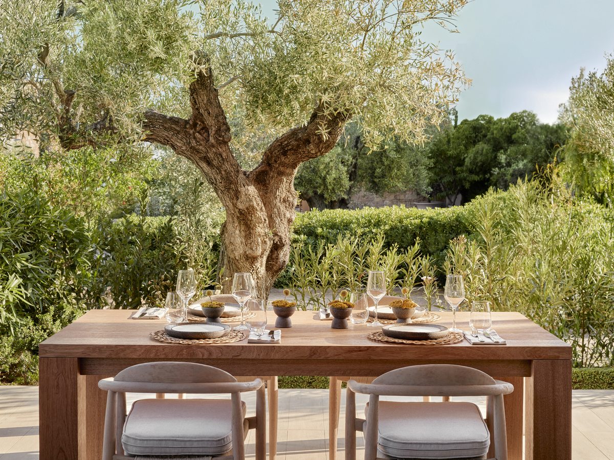 A laid table at The Garden, set beside a gnarled olive tree in the resort gardens.