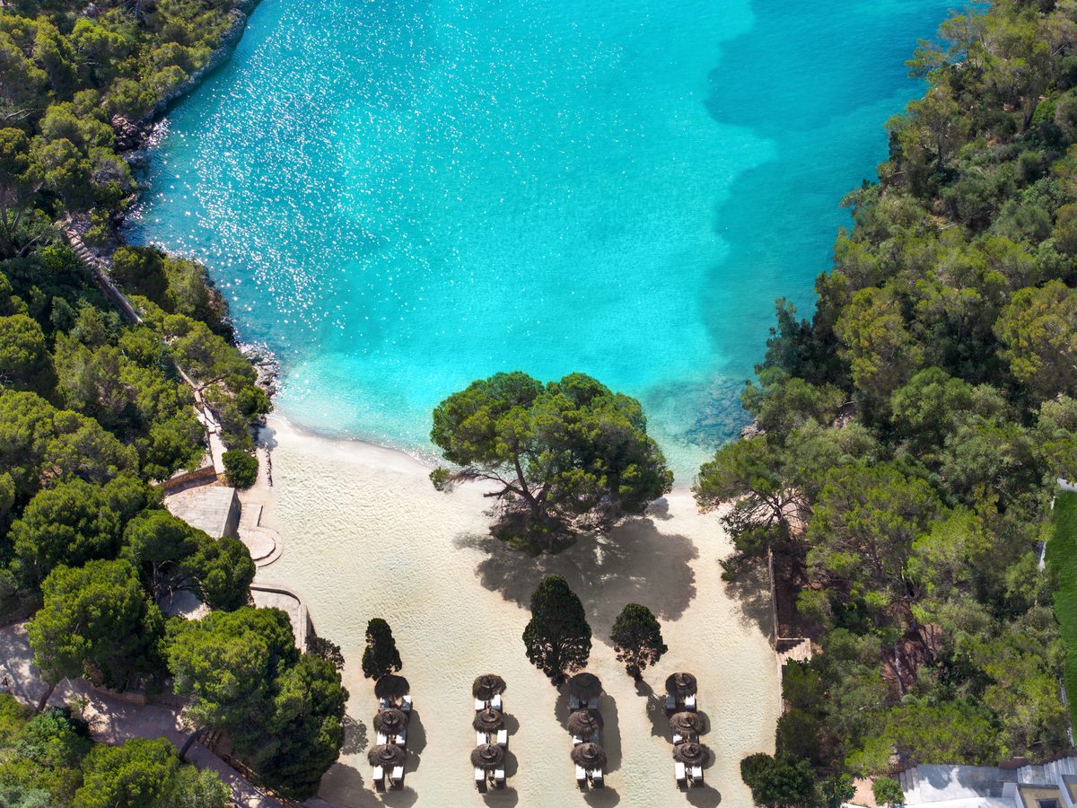 A turquoise cove with a small sandy beach fringed by pines, parasols set out along the sand.