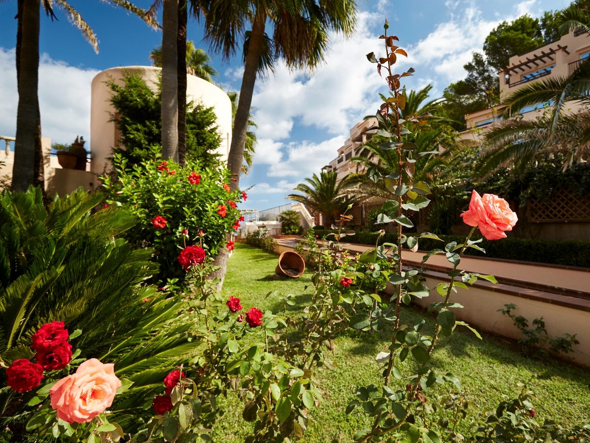 Rose beds and palm trees in front of the terraced accommodation blocks.