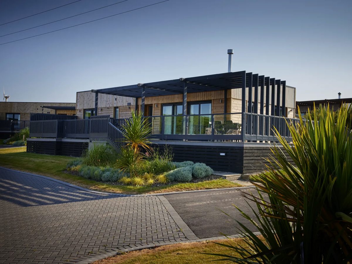 A single-storey timber lodge with a slatted pergola over a raised deck, grasses and cordyline palms planted in front and a block-paved drive alongside.