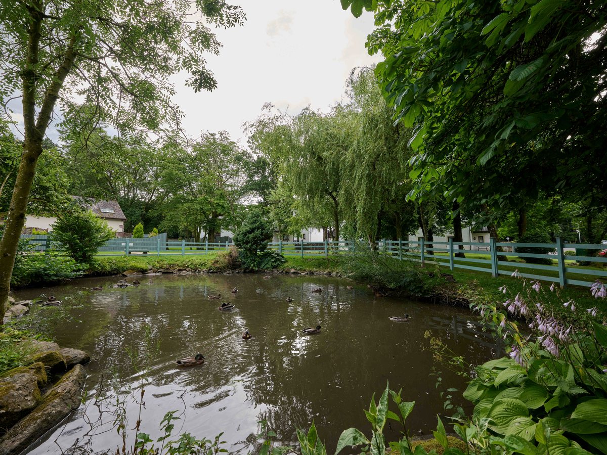 A tree-lined pond with mallard ducks on the water, a pale blue post-and-rail fence along the far bank and cottages among the trees beyond.