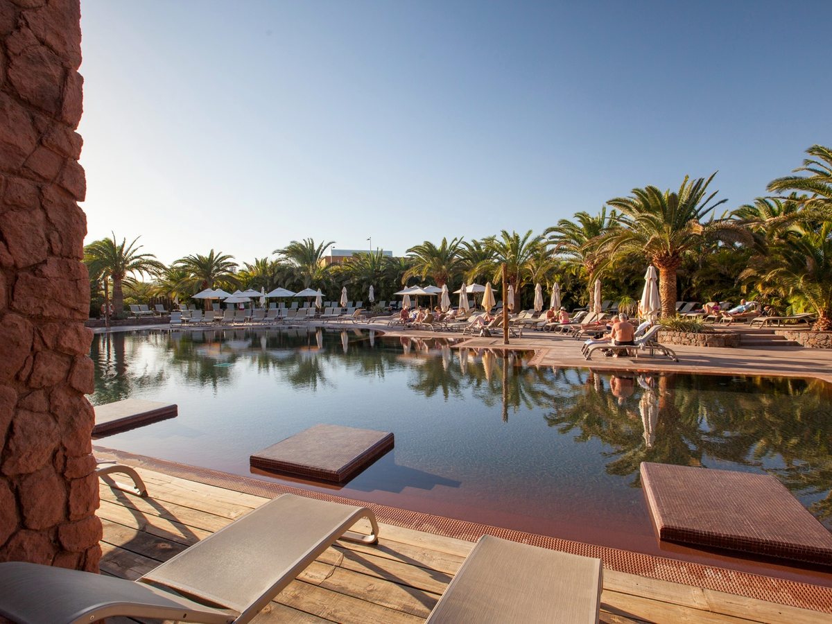 A long pool reflecting the palms around it, with cushioned platform loungers on timber decking in the foreground and rows of sun loungers and parasols along the far side.
