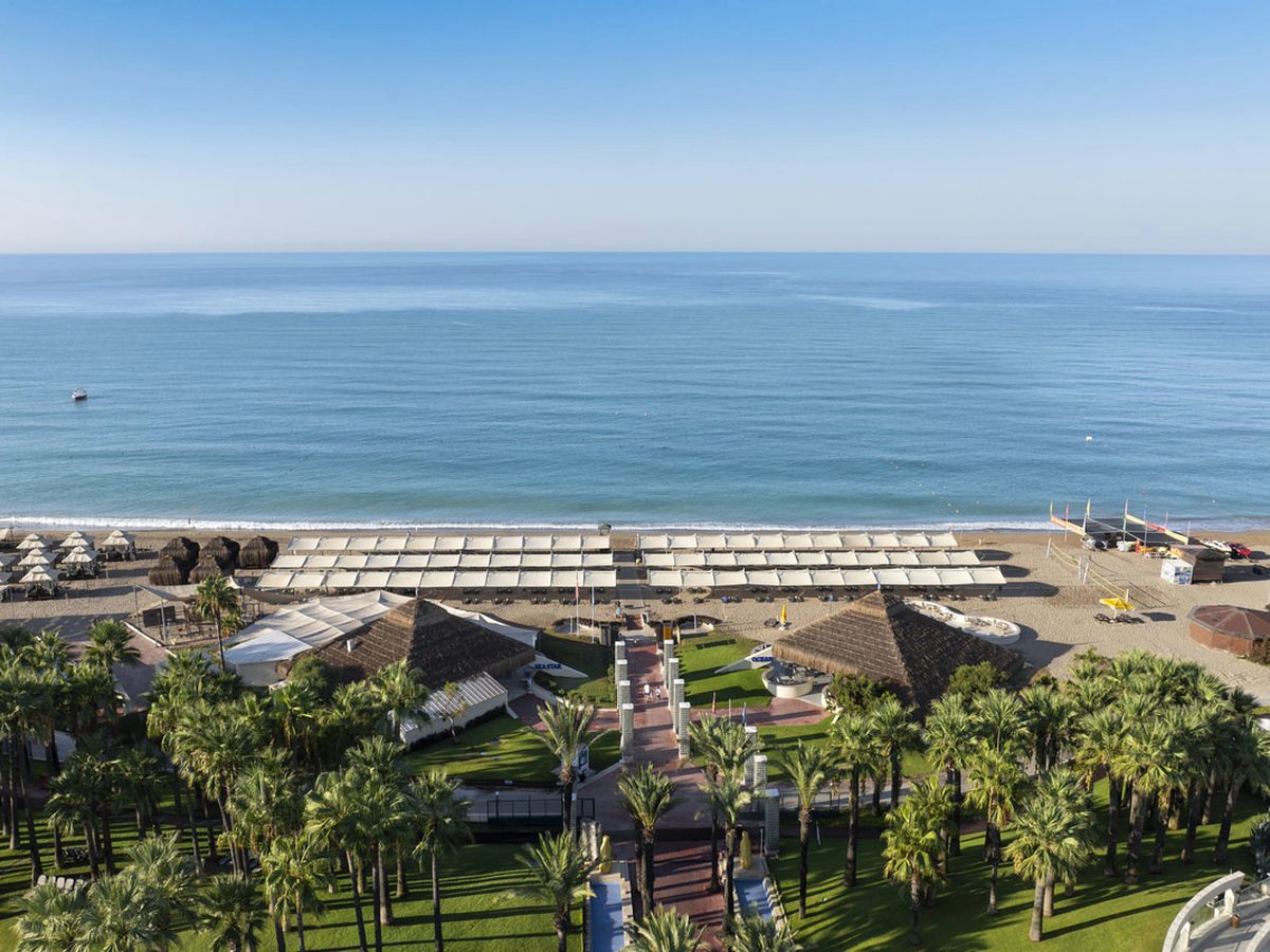 The resort's beachfront over the treetops, with rows of sun loungers under long shades and the sea beyond.