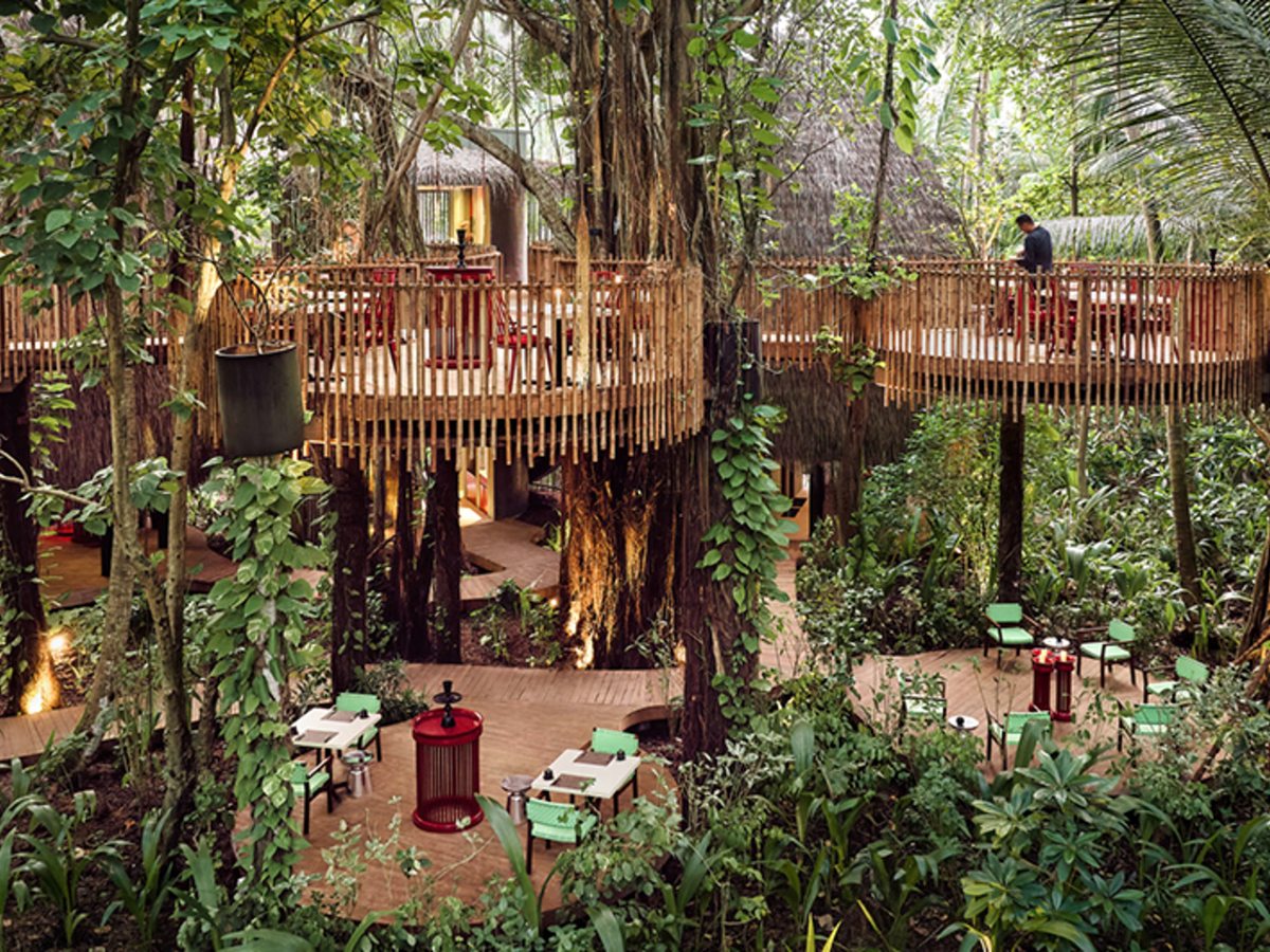 A multi-level timber restaurant built among tall jungle trees, with railed dining decks raised above the ground and tables with green chairs on a boardwalk below.