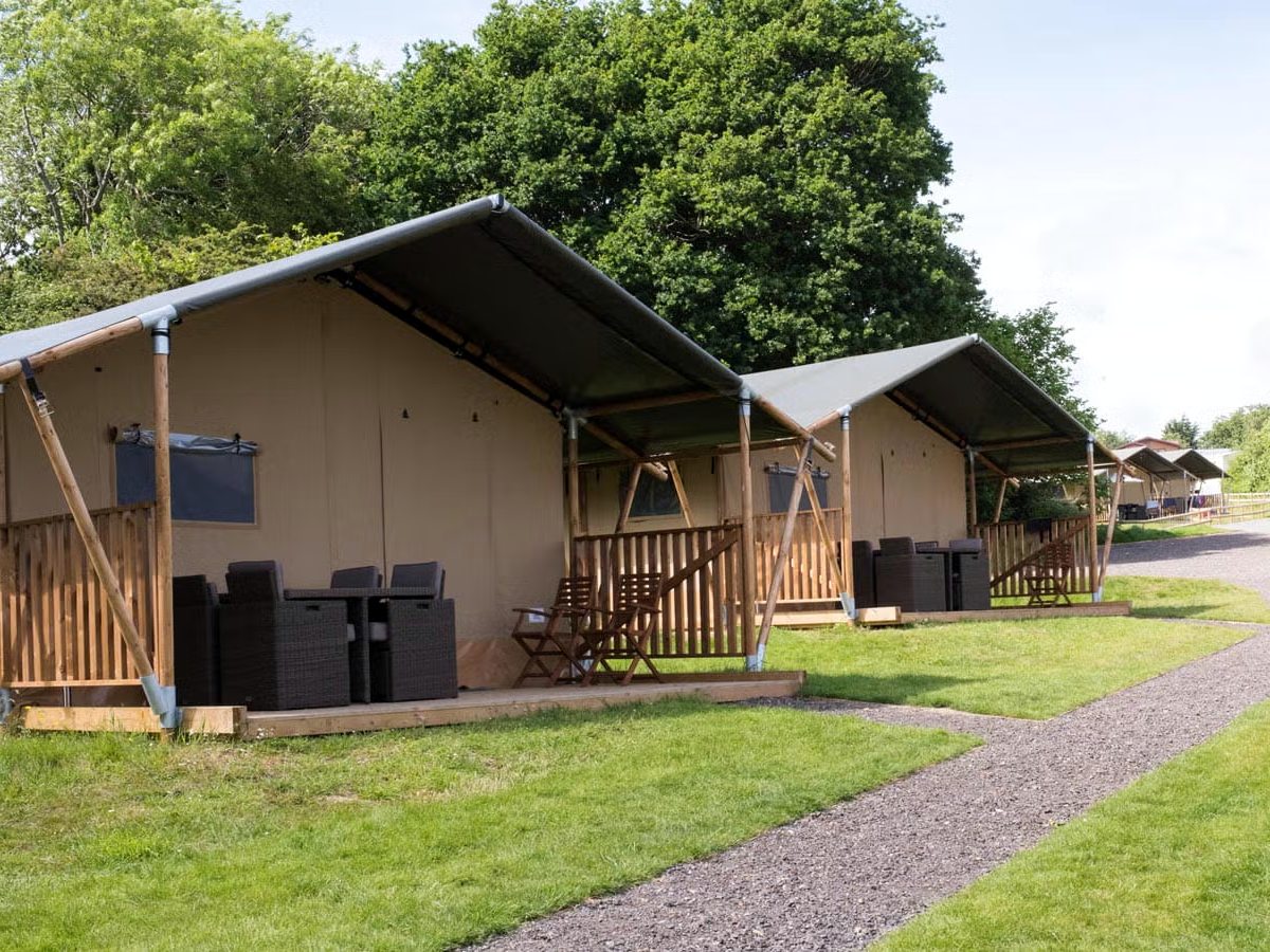 A row of canvas safari tents with pitched awnings, timber verandas and outdoor furniture on grass beside a gravel path.