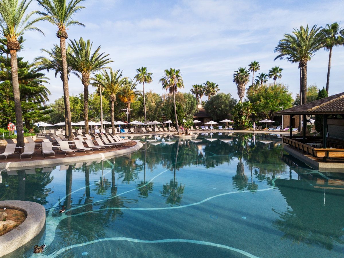 A large curving outdoor pool with rows of sun loungers and parasols along one side, tall palms all around and a timber-decked poolside bar at the far edge.