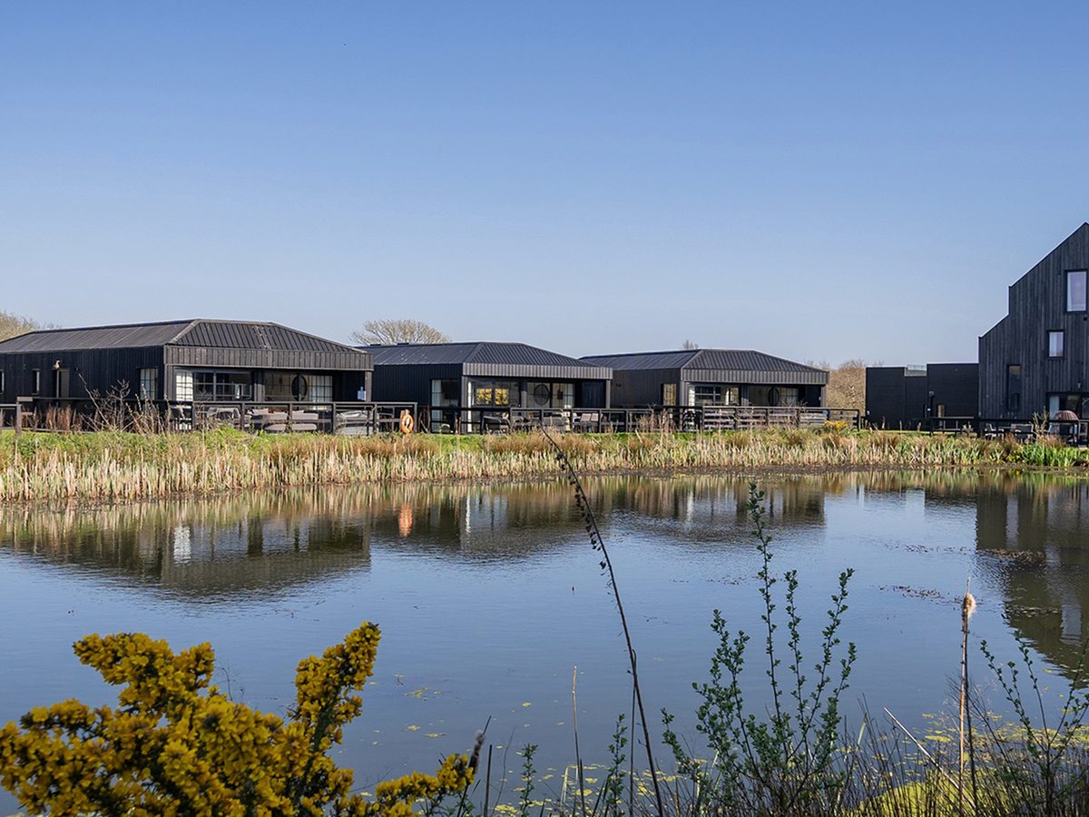 A row of low black timber-clad lodges with decked terraces along the far bank of a lake, gorse in flower in the foreground and a taller barn at the end of the row.