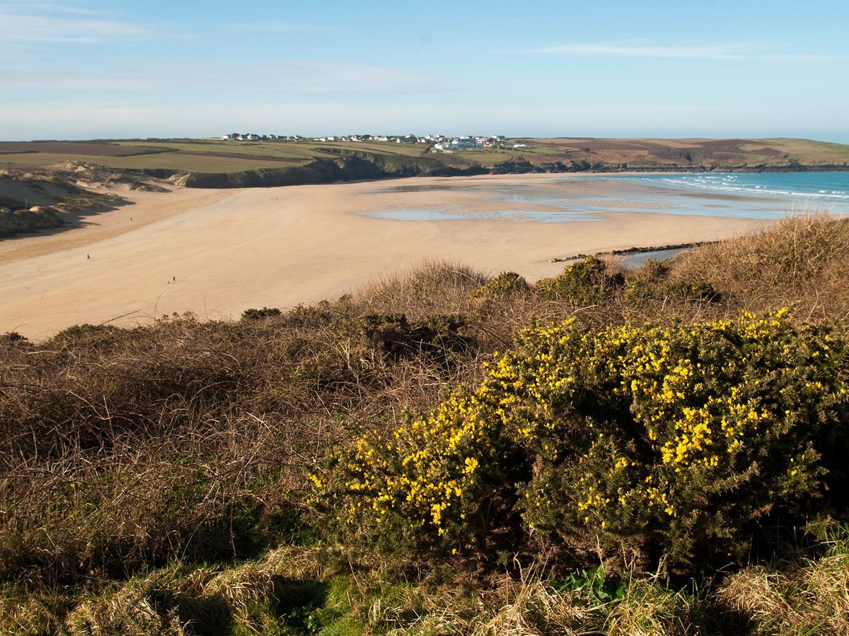 A broad expanse of golden sand meeting shallow water, seen across a slope of gorse and scrub, with green fields and a headland beyond.