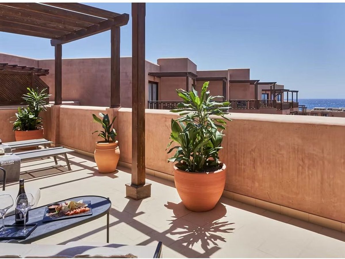 A wide private roof terrace with sun loungers, large terracotta pots of greenery and a wooden pergola, enclosed by a low terracotta wall with the sea beyond.
