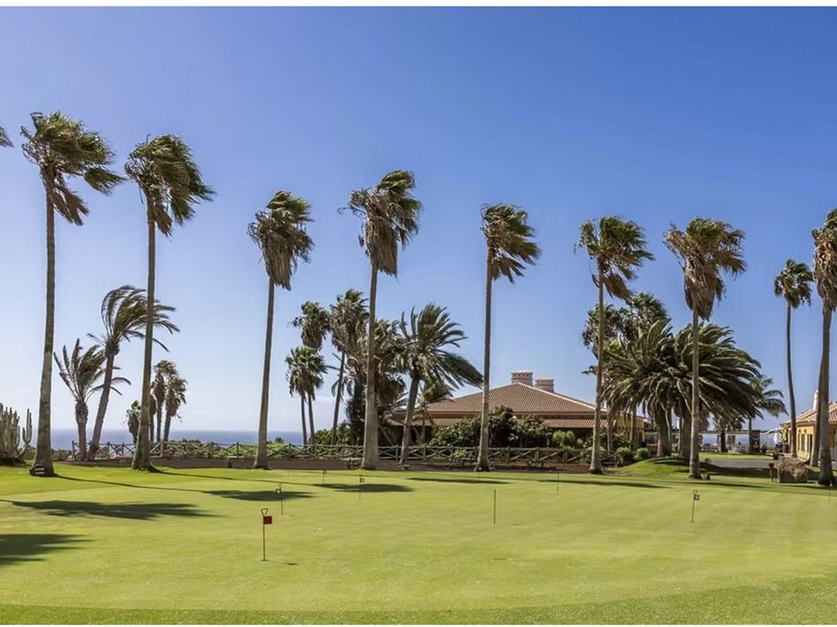 A putting green with practice flags, fringed by tall wind-bent palms, with a low tiled-roof clubhouse and the sea behind.
