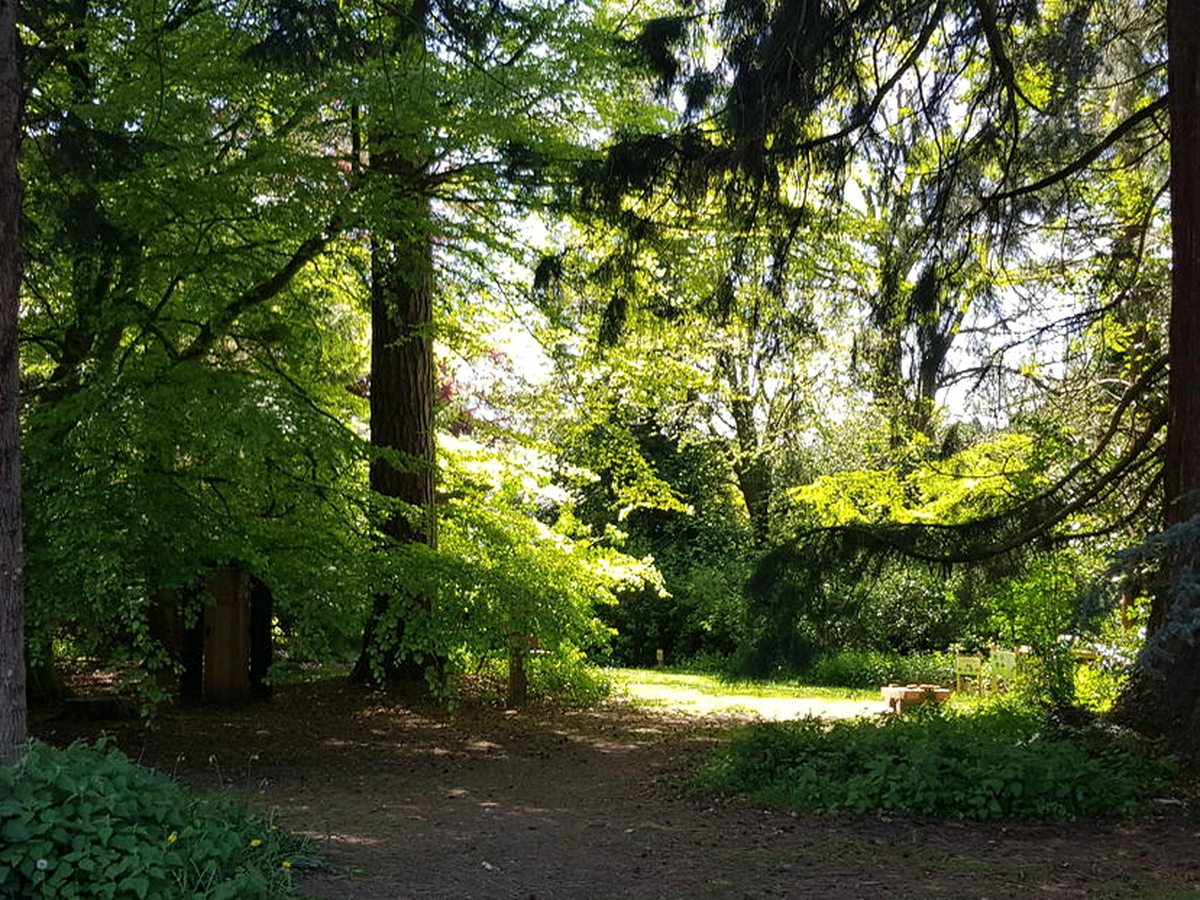 A shaded gravel path curving through woodland of tall conifers and broadleaf trees, with a small wooden direction sign at the edge.