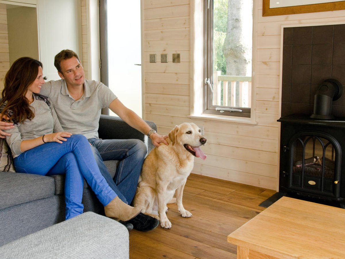 An open-plan lodge living room with a grey corner sofa, wooden coffee table, timber-clad walls and a black freestanding stove, with a couple and a Labrador beside the sofa.