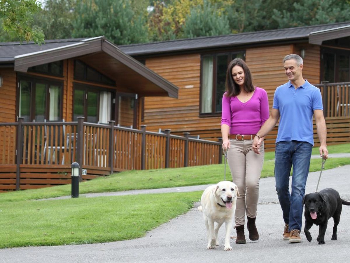 A couple walking two Labradors along a tarmac path past a row of timber lodges with wooden verandas and lawns.